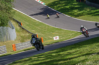 Middle Yellow Group 1